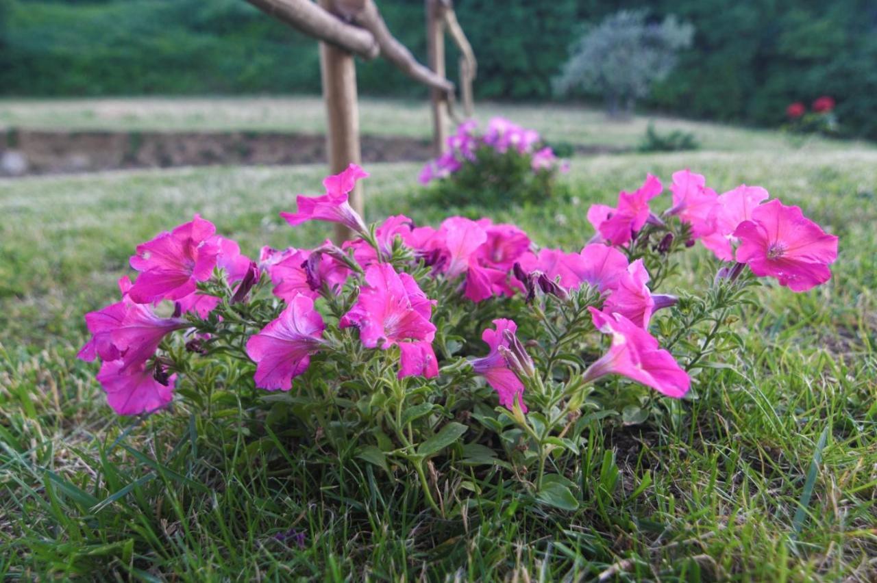 Agriturismo Poggio Ridulfo Βολτέρρα Εξωτερικό φωτογραφία